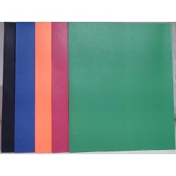 Portfolio Twin Pocket Assorted Colours Or 6/$0.99 - each sold individually