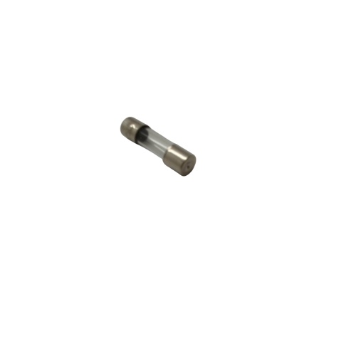 10 Amp European Fuse