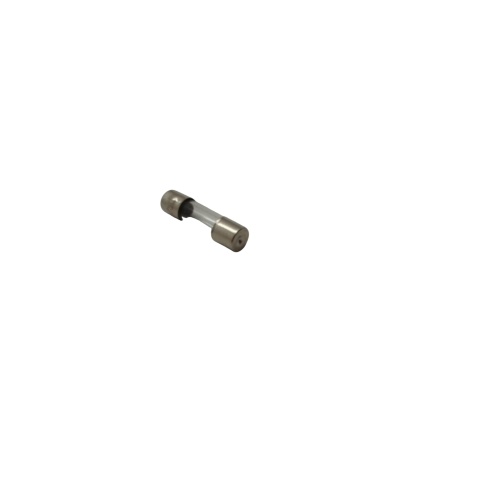 2 Amp European Fuse