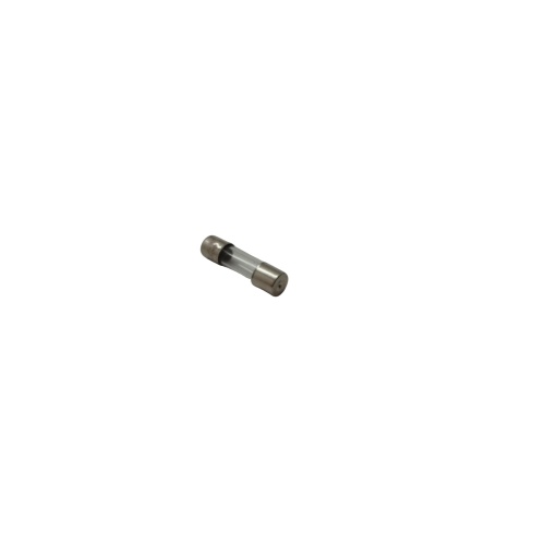 4 Amp European Fuse