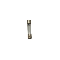 20 Amp Fuse