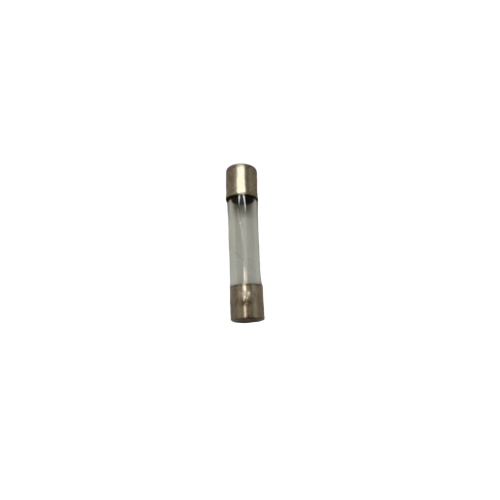 2 Amp Fuse