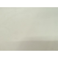 T-Shirt White Small