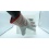 Single Palm Leather Work Glove Red Gumti