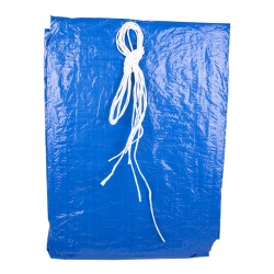 tarp 6' x 8' blue/clear 108868