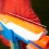 Nerf Gun N Series Infinite w/80 Darts & Rotating Belt