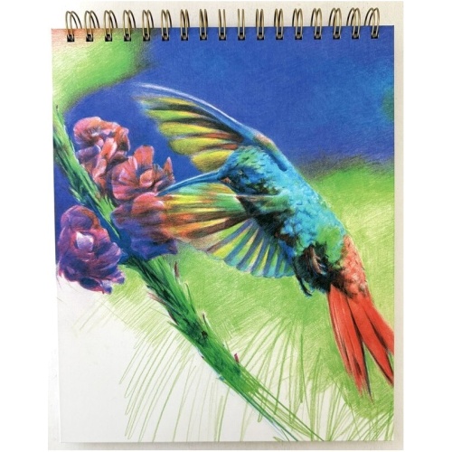 Sketch Book 9 x 11