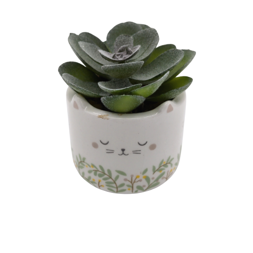 Small Faux Succulent In Cat Shaped Pot 2 x 3