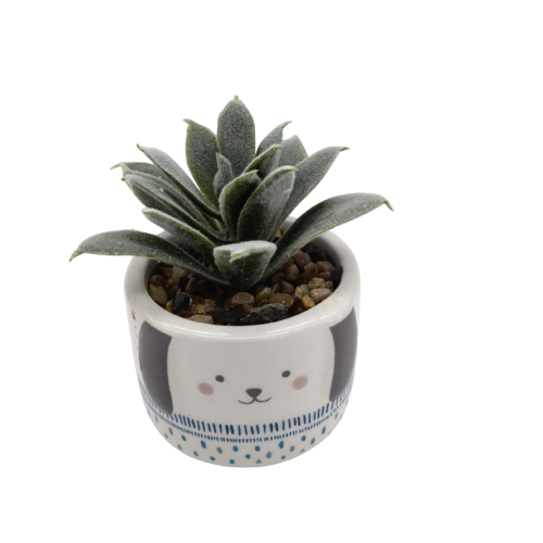 Small Faux Succulent In Dog Shaped Pot 2 x 3