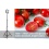Rocksolar 20W Portable Adjustable LED Floodlight w/Telescopic Stand
